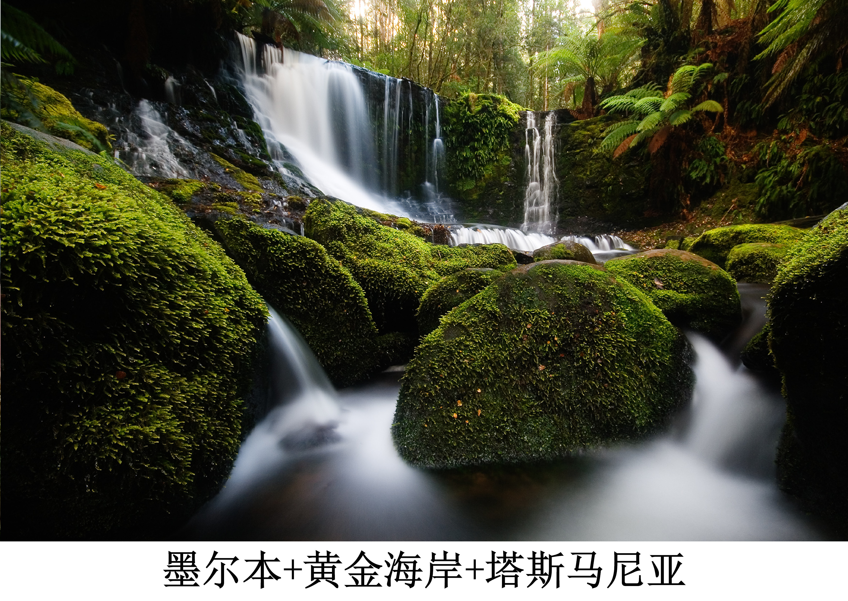 塔斯马尼亚联连续不败,争冠形势一片大好 塔斯马尼亚联连续不败,争冠形势一片大好