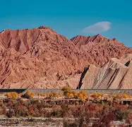 od体育链接-新疆男篮在主场战胜浙江队，继续领跑积分榜的简单介绍